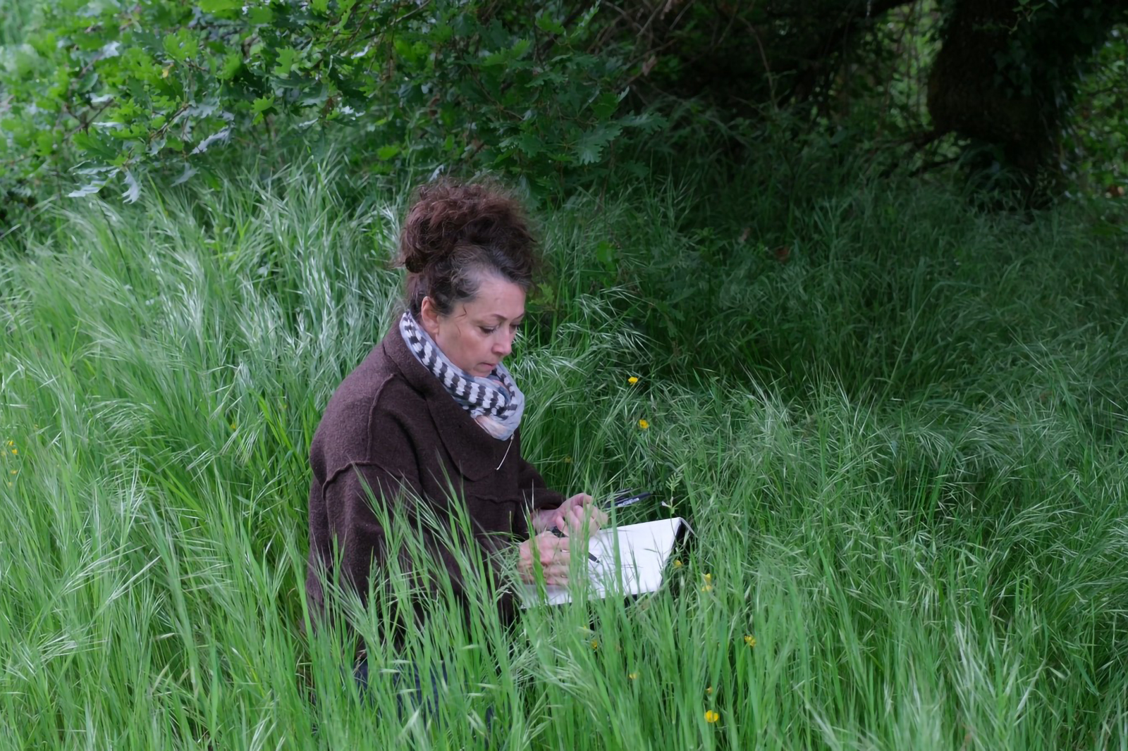 anne laure h-blanc artiste plasticienne grenoble