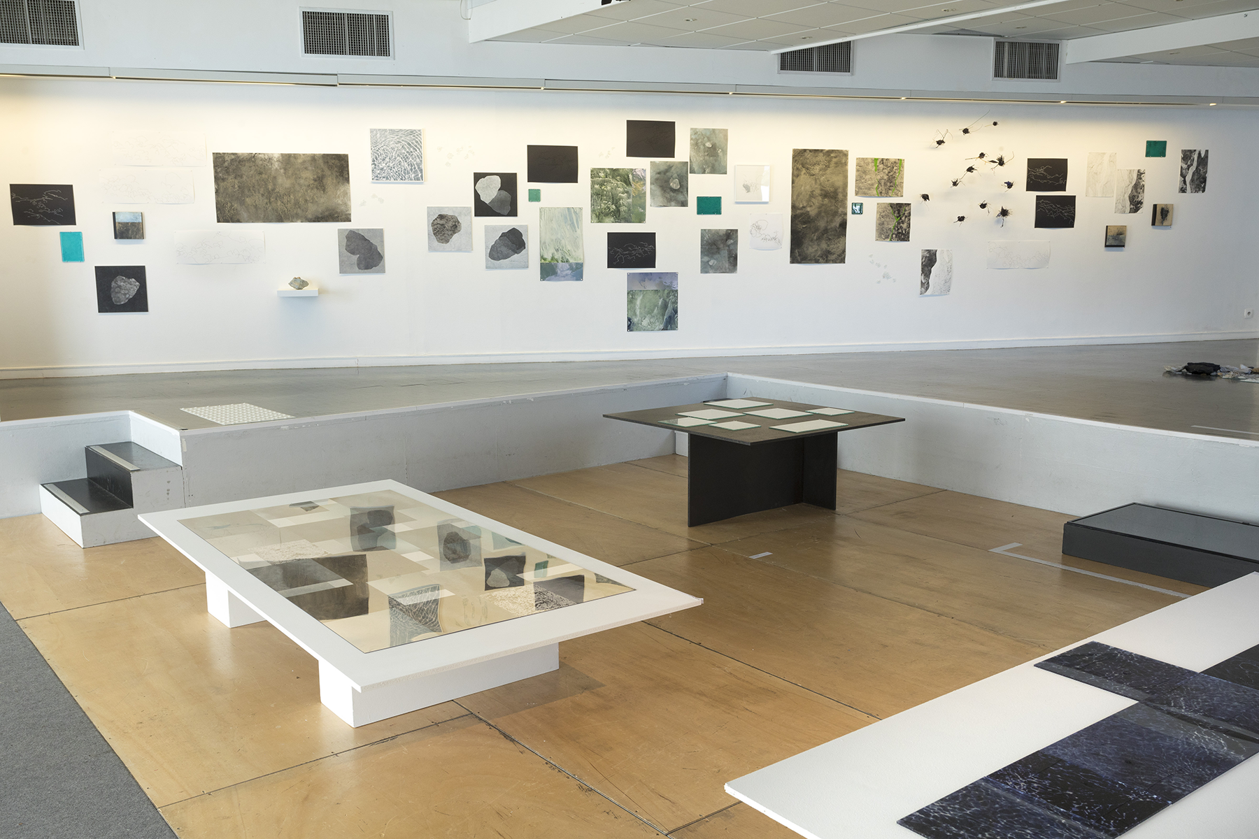 exposition anne laure h-blanc espace larith chambery